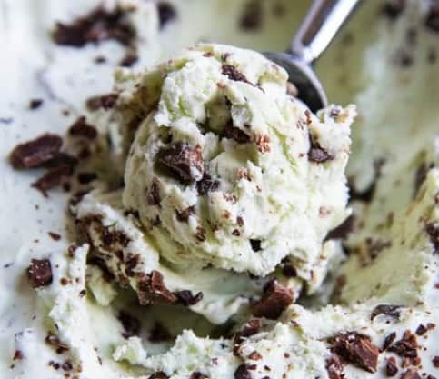 Mint Chocolate Chip Ice Cream